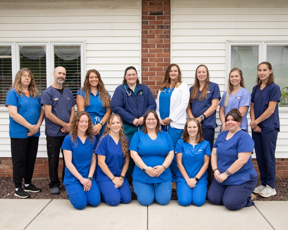 Conneaut Lake Veterinary Hospital Team
